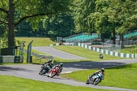 cadwell-no-limits-trackday;cadwell-park;cadwell-park-photographs;cadwell-trackday-photographs;enduro-digital-images;event-digital-images;eventdigitalimages;no-limits-trackdays;peter-wileman-photography;racing-digital-images;trackday-digital-images;trackday-photos